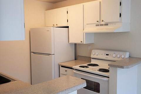 a kitchen with a stove and a refrigerator
